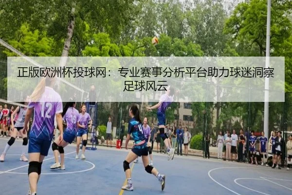 正版欧洲杯投球网：专业赛事分析平台助力球迷洞察足球风云
